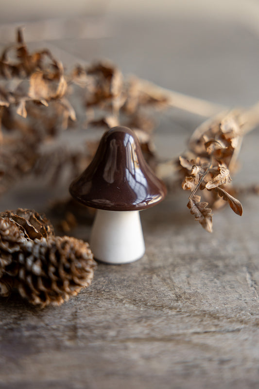 Bosten Pilz