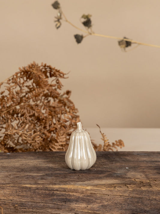Kürbis Hillinge beige