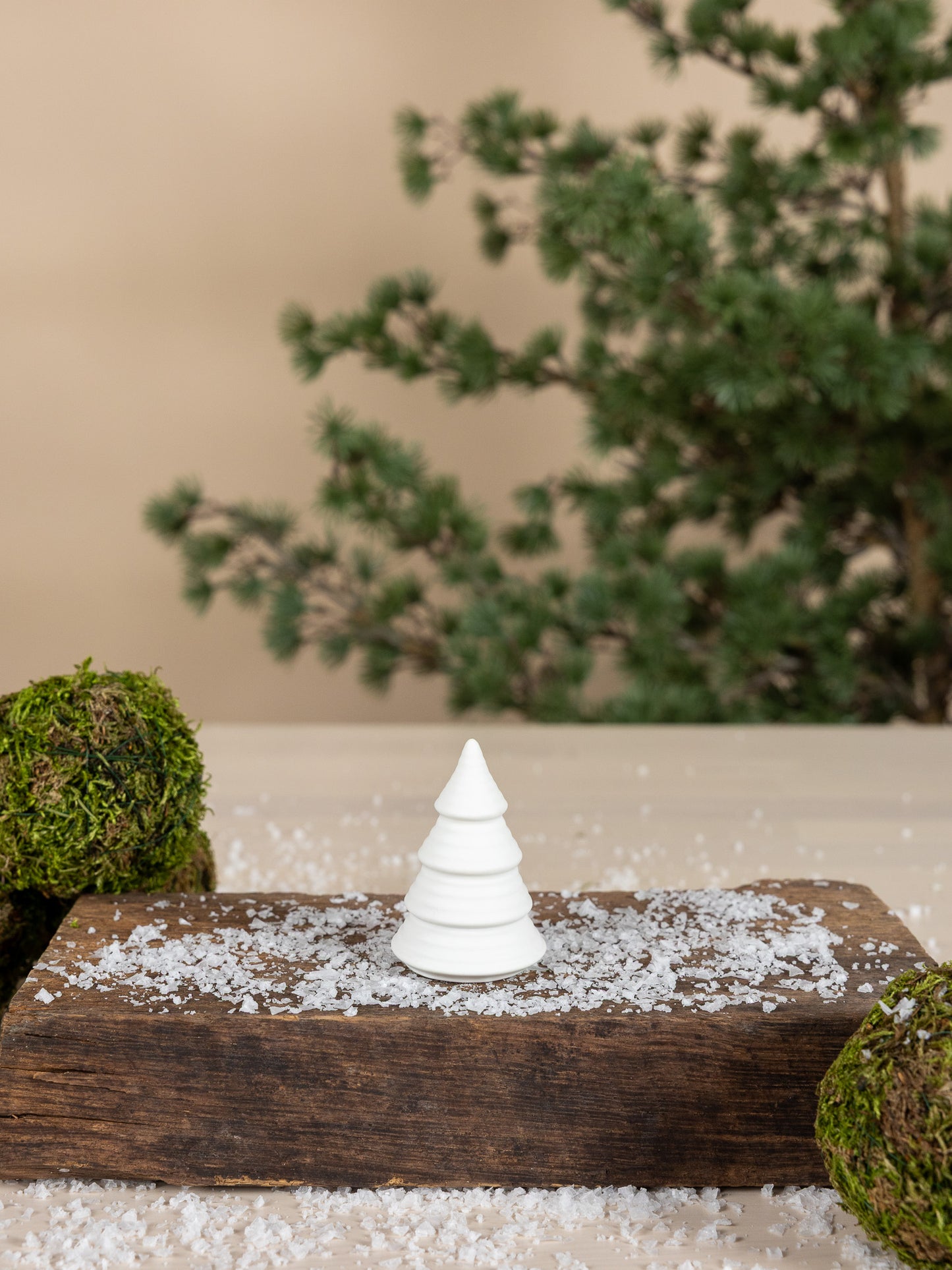 Skogshult Tannenbaum
