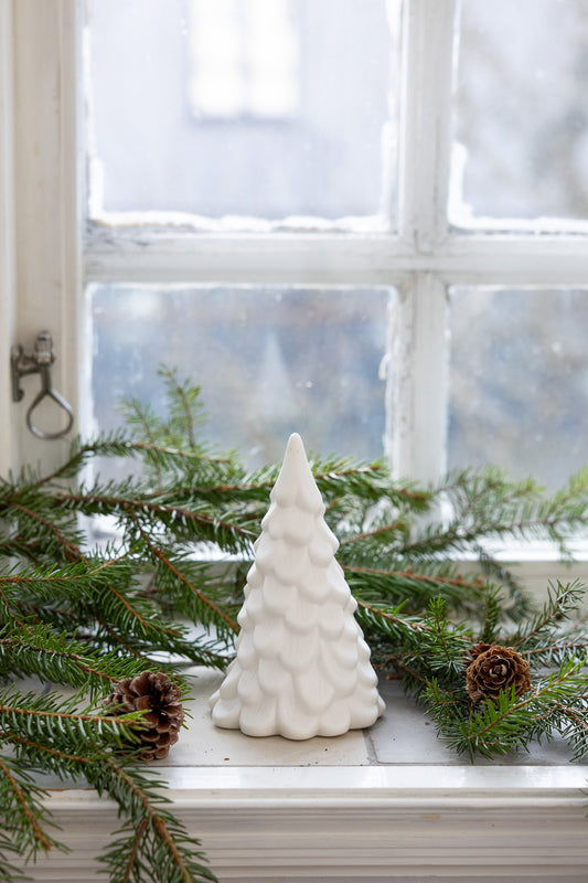 Norrskog Tanne Medium