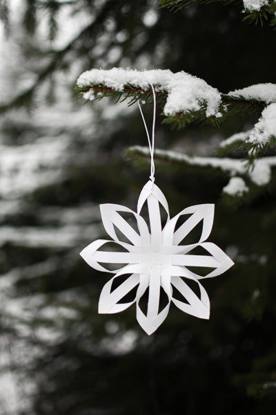 Papierstern Trolldalen